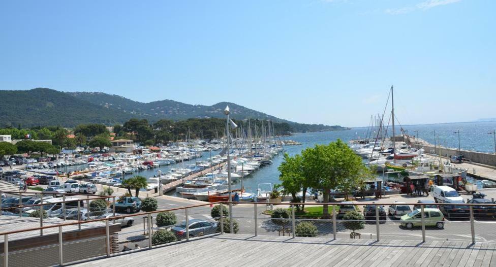 Studio 4 Personnes Avec Piscine, Tennis Hyères Exterior foto